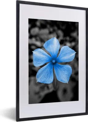 Produktbild von MuchoWow® MuchoWow® Gerahmtes Poster Blumen - Blau - Schwarz - Weiß 40x60 cm - Poster mit zchwarzem Bilderrahmen - Poster in Rahmen