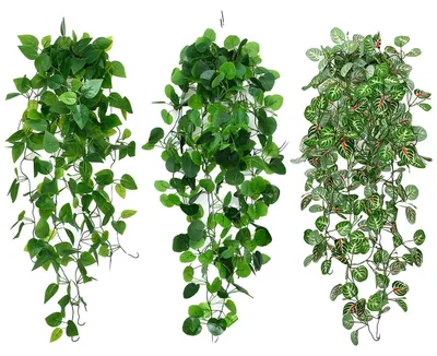 Image de 3 plantes suspendues artificielles, 100 cm de lierre artificiel, plantes vertes, plantes de balcon, plantes en plastique pour la décoration des jardins intérieurs et extérieurs (B)