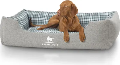 Produktbild von Knuffelwuff Hundebett Lennard aus Velours mit Karomuster XXL 120 x 85cm Grau/Grün