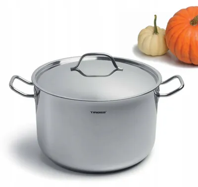 Zdjęcie produktu dla GARNEK Stalowy z POKRYWKĄ 10,8L 28cm Indukcja 2471
