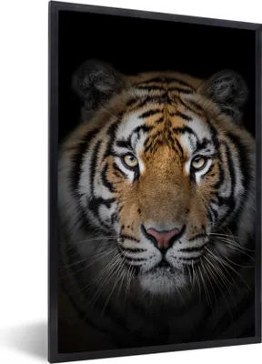 Produktbild von MuchoWow® Gerahmtes Poster Tiger - Wildtiere - Porträt - Schwarz - Tiere 20x30 cm - Poster mit Schwarzem Bilderrahmen Wandposter Rahmen Foto Bilder - Drucken - Bilder Poster im Rahmen