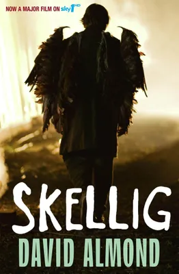 Produktbild von Skellig