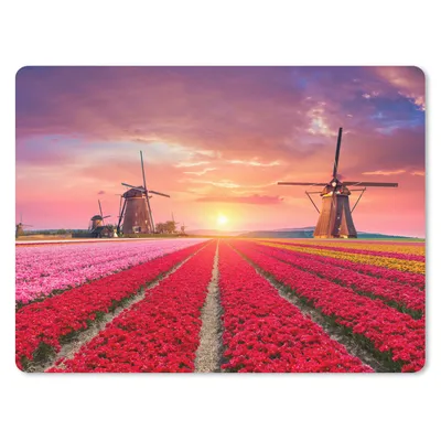 Produktbild von MuchoWow® Mauspad Mousepad Blumen - Windmühle - Tulpen - Sonnenuntergang - Rosa 23x19 cm - Mousepads - Maus Mat - Pad - Mausunterlage - Schreibtischunterlage - Mauspad