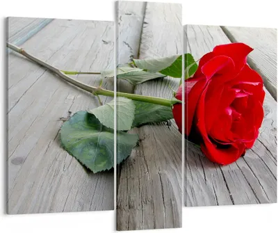 Produktbild von Bild auf Leinwand - Leinwandbild - Blume Holz Pflanze - 95x80cm - Wand Bild - Wanddeko - Wandbilder - Leinwanddruck - Bilder - Kunstdruck - Wanddekoration - Leinwand bilder - Wandkunst - CB95x80-0103