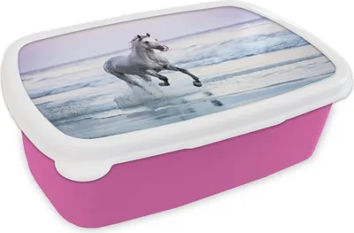 Produktbild von KitchenYeah® Lunchbox Brotzeit Brotdose 17x11 cm Pferd - Meer - Pastell Kinder Brotzeitdose - Lunchpaket - Brotkasten  - Sandwich Box