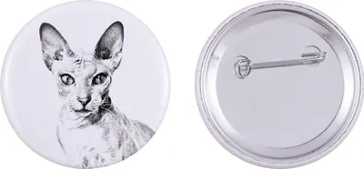 Image de Peterbald épingle avec un grand chat Art-Dog