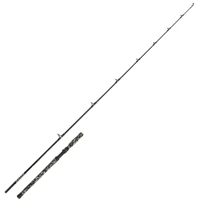 Produktbild von WFT Steckrute Big Cat Boat Cat Länge 2,10m Wurfgewicht 150-550g