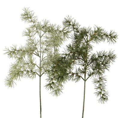 Immagine prodotto di Boltze Decorazione per la casa Ramo di pino h62cm