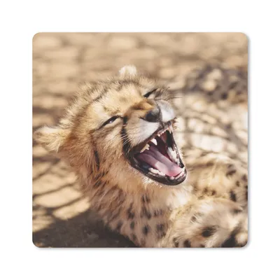 Produktbild von MuchoWow® Mauspad Mousepad Gepard - Tier - Nahaufnahme 30x30 cm - Mousepads - Maus Mat - Pad - Mausunterlage - Gaming