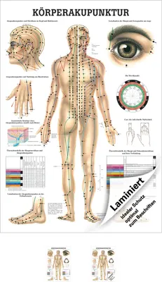 Produktbild von Akupunktur Mini-Poster Anatomie 34x24 cm medizinische Lehrmittel