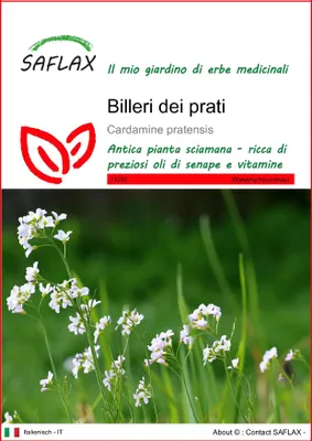 Immagine prodotto di SAFLAX  - Billeri dei prati - 100 semi - Cardamine