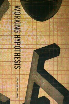 Produktbild von Working Hypothesis