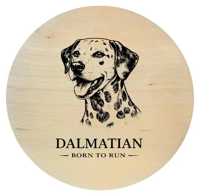 Produktbild von Buchenholzbrett mit Hundegravur – Dalmatiner | rundes Holzbrett, 25 cm