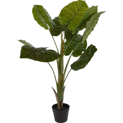 Immagine prodotto di Pianta artificiale ALOCASIA WENTII, 110 cm