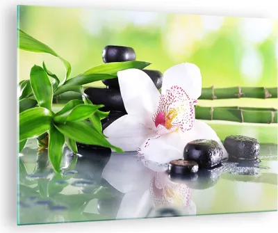 Produktbild von Bilder auf glas - blume orchidee - 70x50cm - Glasbilder - Wandbilder - Kunstdruck - zum Aufhängen bereit - Wanddekoration aus Glas - Glas Bilder - Wandbild auf Glas - Einteilig - GAA70x50-3659