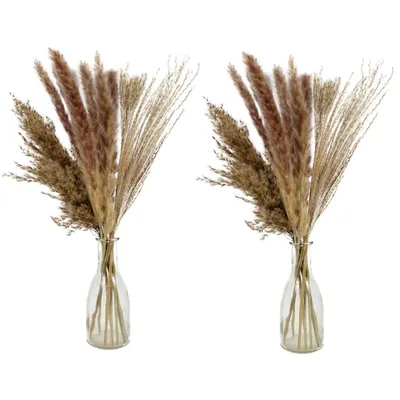 Produktbild von 2x Deko Bündel Pampasgras Getrocknet Höhe 50 cm in Glasvase Trockenblumen Pampas Ziergras Blumenvase