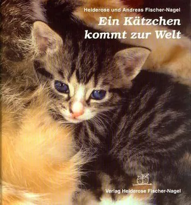 Immagine prodotto di Ein Kätzchen kommt zur Welt