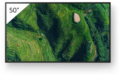 Produktbild von Sony BZ35P, Digital Signage Flachbildschirm, 127 cm (50"), LED, 3840 x 2160 Pixel, WLAN, 24/7