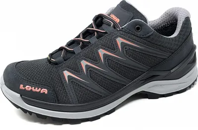 Produktbild von Lowa Innox EVO IIInnox Pro GTX Wanderschuh Grau