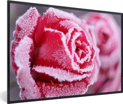 Produktbild von MuchoWow® MuchoWow® Gerahmtes Poster Gefroren - Rosen - Eiscreme 90x60 cm - Poster mit zchwarzem Bilderrahmen - Fotorahmen - Foto-Plakat
