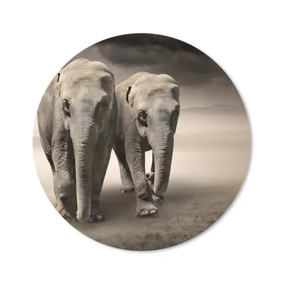Produktbild von MuchoWow® Mauspad Mousepad Elefant - Ehepaar - Berg 50x50 cm - Mousepads - Maus Mat - Pad - Mausunterlage - Vinyl