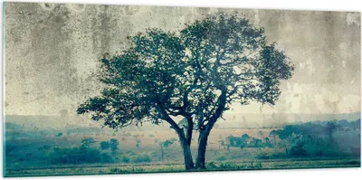 Produktbild von Bilder auf glas - Baum Natur Feld - 120x50cm - Glasbilder - Wandbilder - Kunstdruck - zum Aufhängen bereit - Wanddekoration aus Glas - Glas Bilder - Wandbild auf Glas - Einteilig - GAB120x50-3627