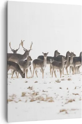 Produktbild von Bild auf Leinwand - Leinwandbild - Einteilig - Hirsch Winter Tierwelt Landschaft - 70x100cm - Wand Bild - Wandbilder - Leinwanddruck - Wanddekoration - Leinwand bilder - Wandbild - PA70x100-3144