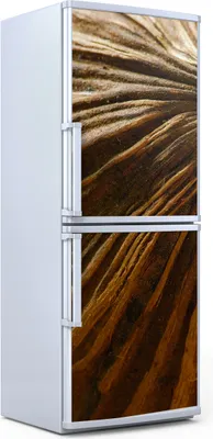 Produktbild von Kühlschrankdekoration  60x180 cm  Aufkleber auf dem Kühlschrank - Kokosnuss Nahaufnahme