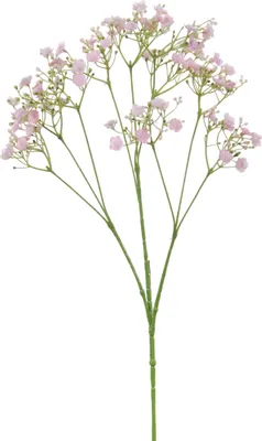 Produktbild von Kunstliche Blumen - Gypsophila - Zweige - rosa - 70 cm