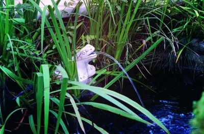 Produktbild von Gartenfigur "Frosch Fontaine" 20cm Teichfigur Menschen Steinguss Gartendeko 147