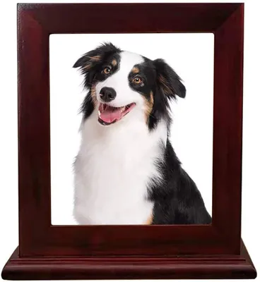 Productafbeelding van Houten Herinneringsurn voor Huisdieren met Fotolijst