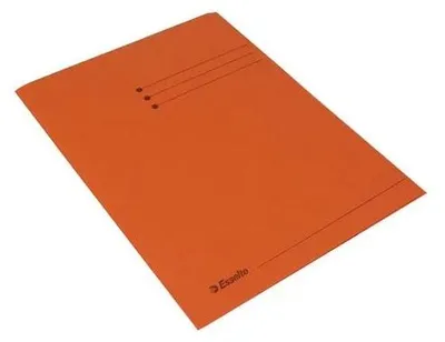 Imagen del producto de Carpetas Esselte con 3 compartimentos