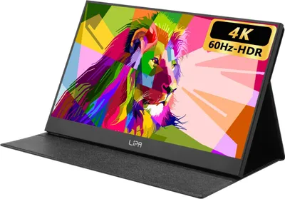 Produktbild von Lipa AX-60 Portable monitor 4K Ultra HD 15,6 Zoll - tragbarer Monitor - Gaming monitor - 3840 x 2160 UHD - Tragbarer monitor für laptop - Externer Bildschirm - HDMI - 2x USB-C und 1x Micro-USB - Eingebaute Lautsprecher - Mit Hülle und Kickstand - Auch für Console und Handy - Energiesparend