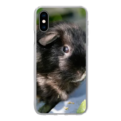 Produktbild von MuchoWow® Handyhülle Schutzhülle Hülle für iPhone X Meerschweinchen im Garten Silikon Softcase Handy Hülle - Handyhülle