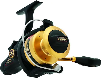 Zdjęcie produktu dla Penn Slammer 560 Liveliner
