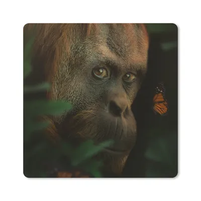 Produktbild von MuchoWow® Mauspad Mousepad Tiere - Affe - Natur 20x20 cm - Mousepads - Maus Mat - Pad - Mausunterlage - Desk Mat - Bureauartikeln