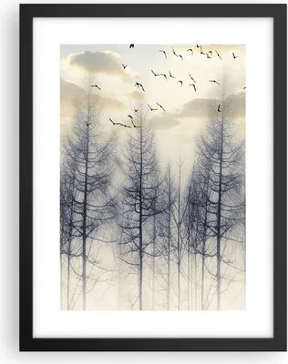 Produktbild von Gerahmtes Poster - Schwarzer Rahmen - Bäume Vögel Himmel - 30x40 cm - Wand Bild - Wanddeko - Wandbilder - Kunstposter - Wandposter - Bilderrahmen - Bilder - Kunstdruck - P2BPA30x40-4546