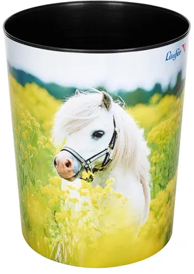 Obrázok produktu pre Laufer 26662, 13 L, Ďalší, Viacfarebný, 1 kusov