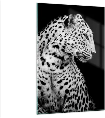 Produktbild von Bilder auf glas - Einteilig - Leopard Panther Katze - 80x120cm - Glasbilder - Wandbilder - Bilder - zum Aufhängen bereit - Wanddekoration aus Glas - Glas Bilder - Wandbild auf Glas - GPA80x120-4919