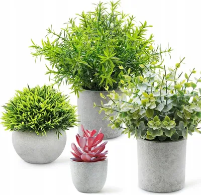 Image de FLEURS ARTIFICIELLES EN POTES Lot de 4 pots à succulentes gris