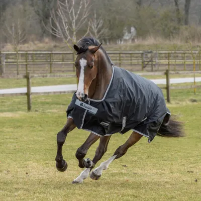 A horse wearing a black turnout blanket runs across a grassy field.