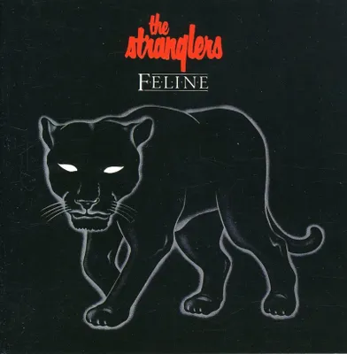 Immagine prodotto di Felino