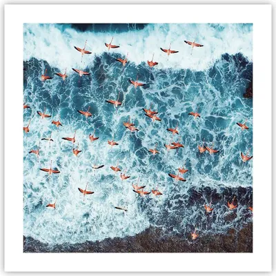Produktbild von Poster - Poster ohne Rahmen - Flamingos Karibik Vögel - 50x50 cm - Wand Bild - Wanddeko - Wandbilder - Kunstposter - Wandposter - Bilder - Kunstdruck - Wanddekoration - Wandbild - P2XAC50x50-5013