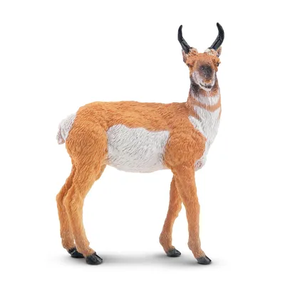 Produktbild von Toymany ML00326 Gabelbock 9,1 cm Wldtiere
