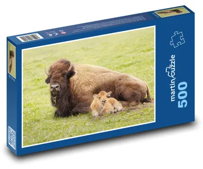 Zdjęcie produktu dla Puzzle 500 Rodzina bizonów na łące - martinpuzzle