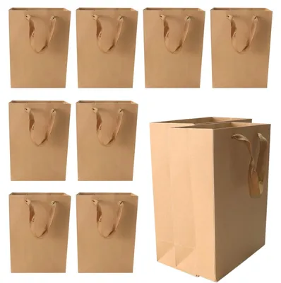 Kraftpapier-Geschenktüten mit Griffen, 10 Stück, 20x10x28 cm, braun