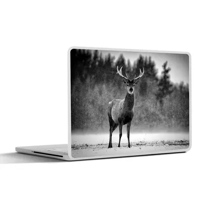 Produktbild von MuchoWow® Laptop Aufkleber Sticker Cover Tiere - Hirsche - Winter - Schwarz - Weiß 40x30 cm - Laptop Dekoration - Selbstklebend