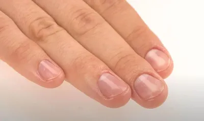 Image de Ciseaux rotatifs pour couper les ongles, marque Zwilling, qualité supérieure, pour manucure et pédicure