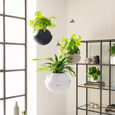 Obrázek produktu pro Lechuza Samozavlažovací závěsný květináč Bola Color 23 cm, bílá