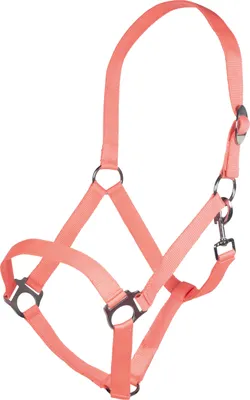Produktbild von HKM Halfter Stars Economy Softice NEONKORALLE, Gr. Warmblut